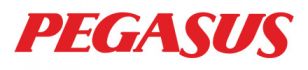 PEGASUS GRUOP İNŞ. LTD.ŞTİ.(İSTANBUL)